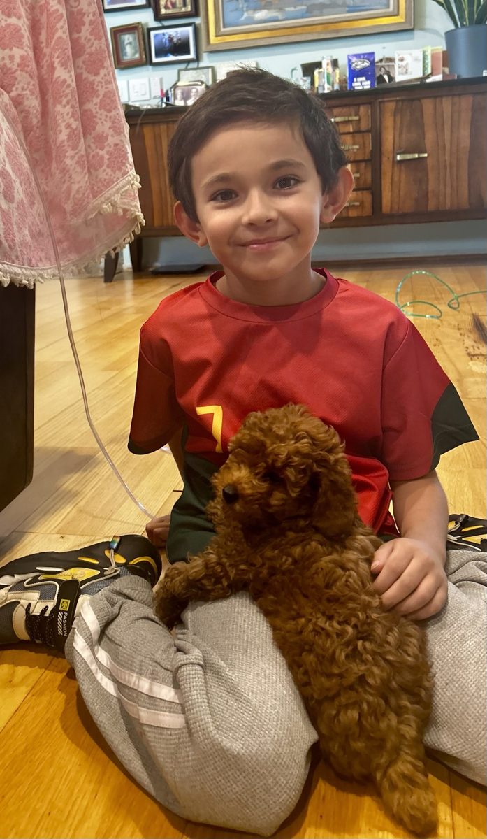 A smiling boy with Claude, a red Toy Poodle puppy, on his lap