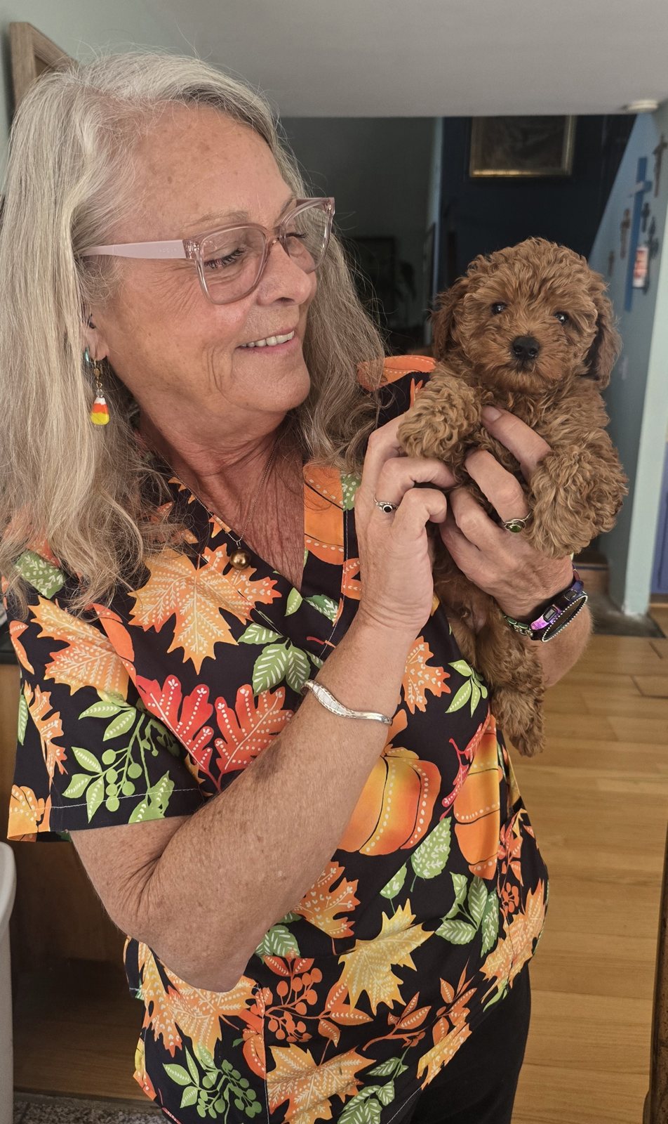 A woman in an autumn-print scrub top smiling down at Claude, a red Toy Poodle puppy