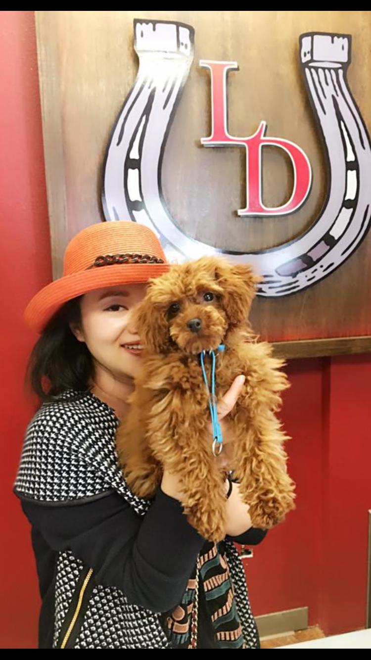 Woman in orange hat holding a red Toy Poodle puppy