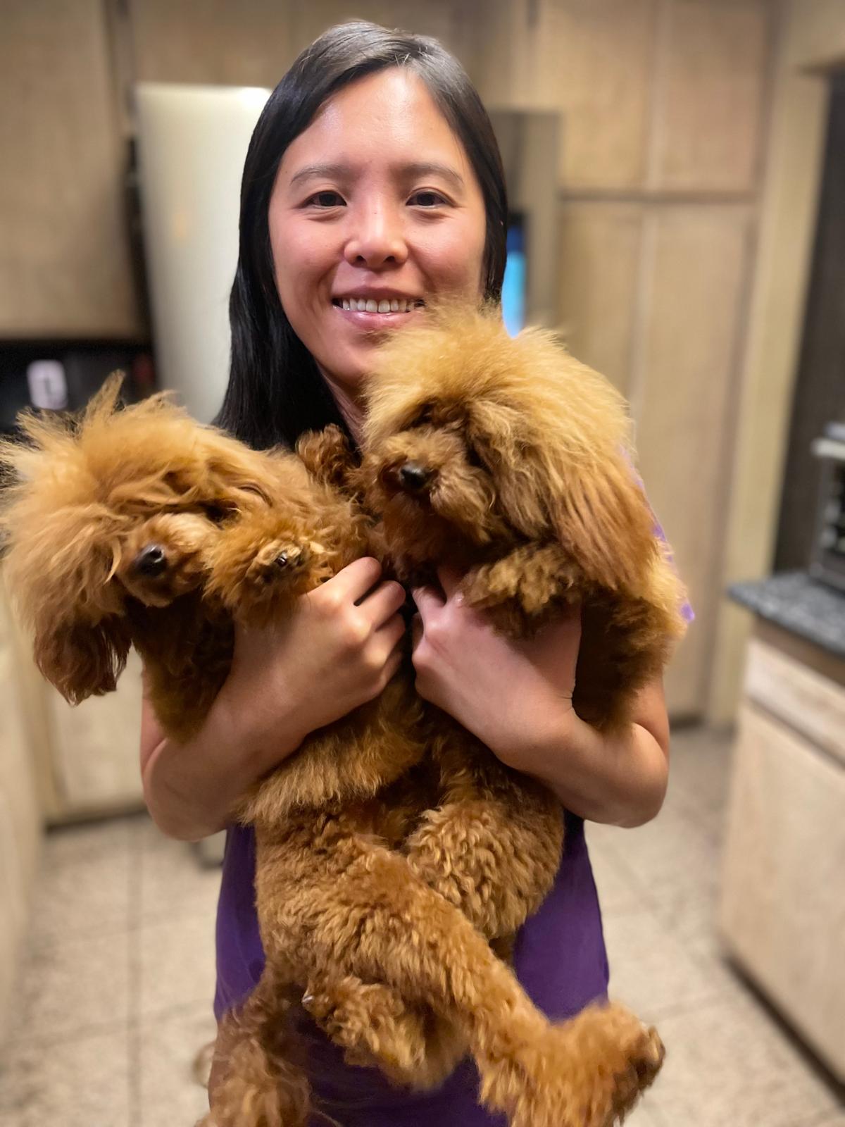 Woman holding two fluffy red Toy Poodles