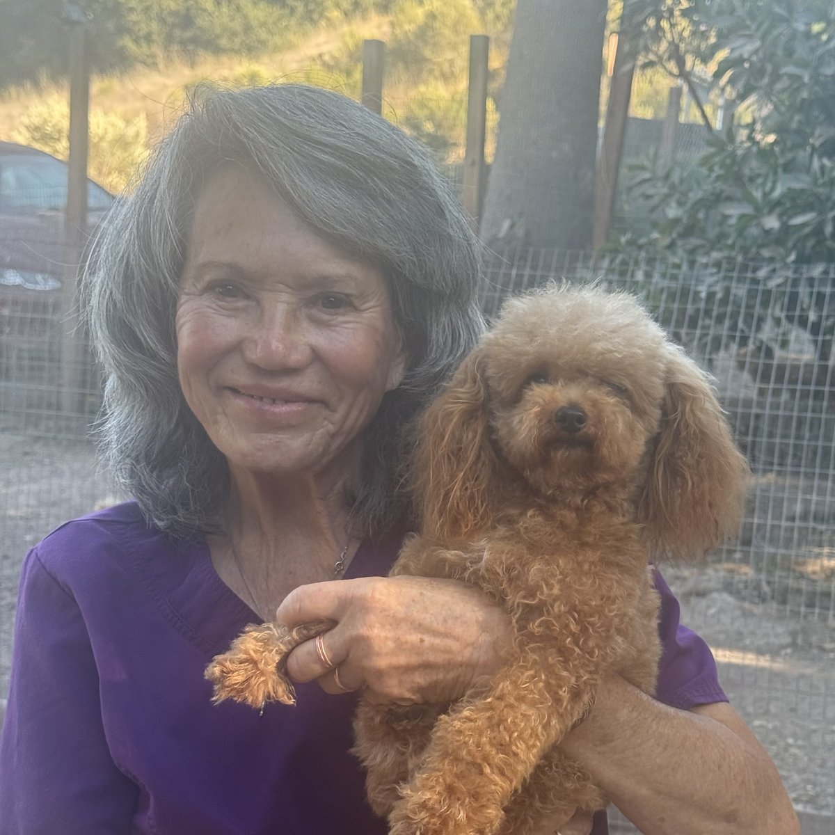 Linda DeBlauw of Scarlet's Fancy Poodles holding a red Toy Poodle