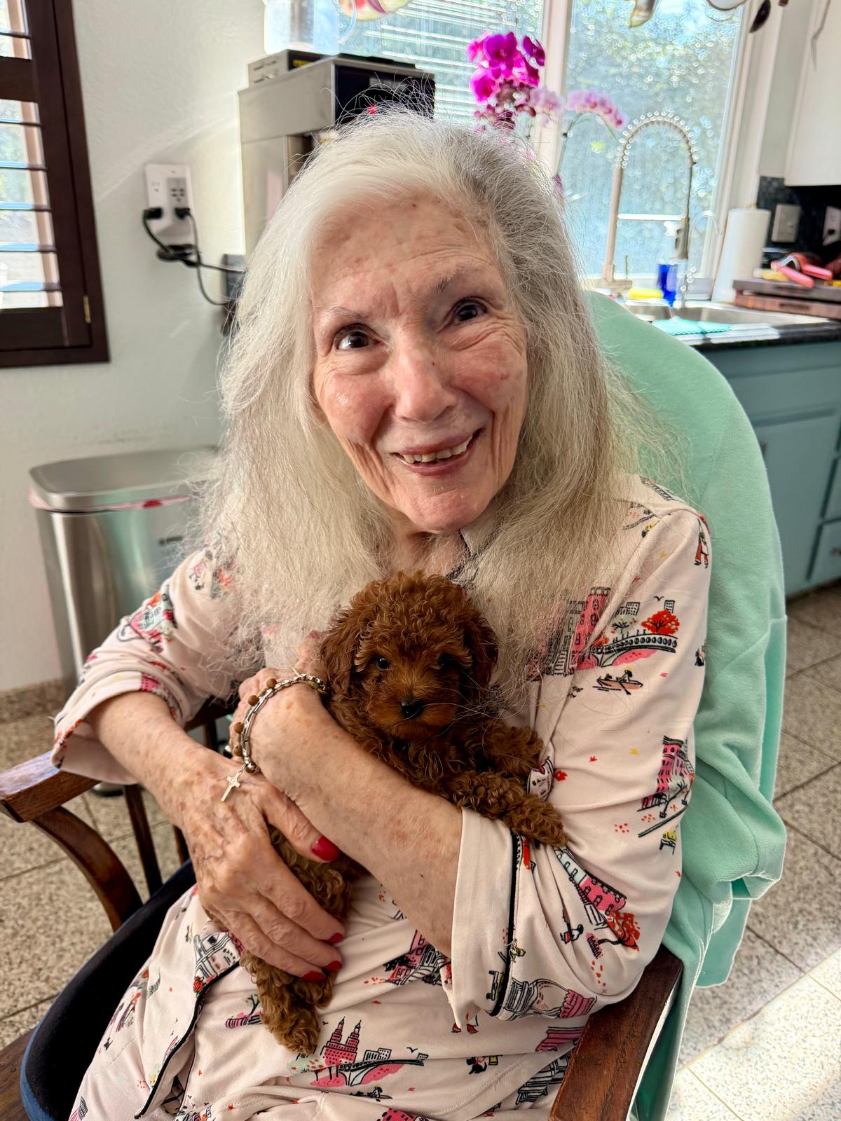 Mom holding a red Toy Poodle puppy in the kitchen